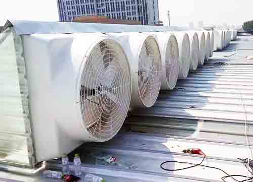 昆山玻璃鋼屋頂排風(fēng)機(jī) 昆山玻璃鋼屋頂排風(fēng)機(jī)