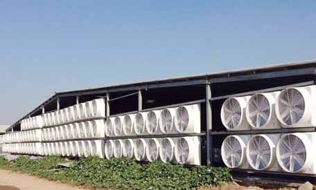 丹陽負(fù)壓風(fēng)機廠家介紹