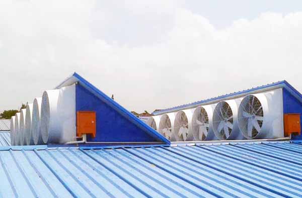 車間屋頂吸風(fēng)機