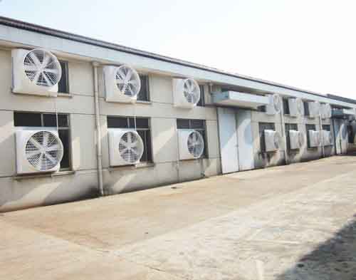 養(yǎng)雞場杭州通風設(shè)備 養(yǎng)雞場杭州通風設(shè)備